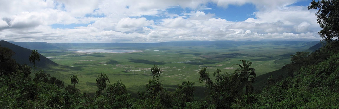 ngorogoro 1150x370